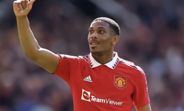 病的发生 病的发生